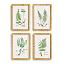NAPA Home & Garden, FOREST FERN PRINTS, SET OF 4