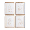NAPA Home & Garden, BLUSH BOTANICAL STUDY, SET OF 4