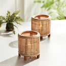 NAPA Home & Garden, RAYA HURRICANE,N2NV05