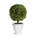 NAPA Home & Garden, BOXWOOD SINGLE 11" BALL TOPIARY IN POT