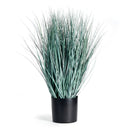 NAPA Home & Garden, BLUE OAT GRASS DROP-IN 32"