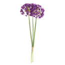 NAPA Home & Garden, Allium Stems, Bundle of 3