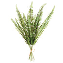 NAPA Home & Garden, BOSTON FERN STEMS, BUNDLE OF 12
