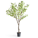 NAPA Home & Garden, GINKGO TREE DROP-IN 8'