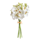 NAPA Home & Garden, PHALAENOPSIS ORCHID STEMS 11.5" BUNDLE, SET OF 6