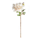 NAPA Home & Garden, Dahlia Stem Collection
