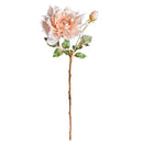 NAPA Home & Garden, Dahlia Stem Collection