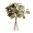 NAPA Home & Garden, SILVER DOLLAR EUCALYPTUS CUTTINGS, BUNDLE OF 12