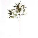 NAPA Home & Garden, EUCALYPTUS SEED STEM 41"