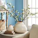 NAPA Home & Garden Decorative Home Accents Collection