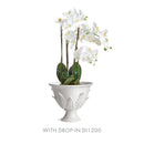NAPA Home & Garden Decorative Vases and Bowls Collection