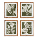 NAPA Home & Garden, TRANSLUCENT STEM PRINTS, SET OF 4
