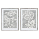 NAPA Home & Garden, BLOOMING QUEEN ANNE'S LACE PRINTS, SET OF 2