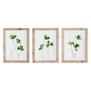 NAPA Home & Garden, CLOVER CUTTINGS PETITE PRINTS, SET OF 3