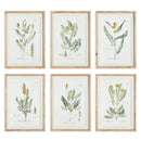 NAPA Home & Garden, MID-SUMMER BLOOMS PRINTS, SET OF 6