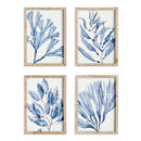 NAPA Home & Garden, MARINE PRINTS, SET OF 4