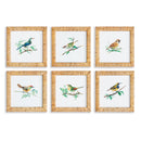 NAPA Home & Garden, SONGBIRD PETITE PRINTS, SET OF 6