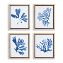 NAPA Home & Garden, INDIGO SEAWEED PRINTS, SET OF 4