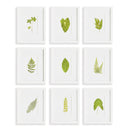 NAPA Home & Garden, GREEN LEAF PETITE PRINTS, SET OF 9