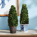 "NAPA Home & Garden, Boxwood Topiary Drop-In Collection"