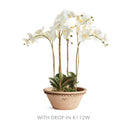 NAPA Home & Garden, WAKEFIELD HANDMADE HENLEY FORCING POT