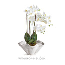 NAPA Home & Garden, WAKEFIELD HANDMADE WILEY POT Collection
