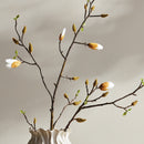 NAPA Home & Garden, MAGNOLIA BUDDING BRANCH,N4CC03