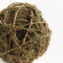 NAPA Home & Garden, MOSSY VINE ORB Collection