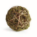 NAPA Home & Garden, MOSSY VINE ORB 7"