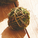 NAPA Home & Garden, MOSSY VINE ORB Collection