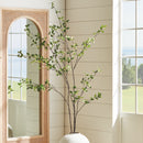 NAPA Home & Garden, PITTOSPORUM BRANCH 78",N4CC08