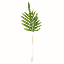 NAPA Home & Garden, HARE'S FOOT BRANCHES 34", BUNDLE OF 2