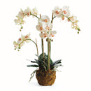 NAPA Home & Garden, PHALAENOPSIS ORCHID DROP-IN 30"
