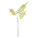NAPA Home & Garden, BRACKEN FERN STEM