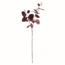 NAPA Home & Garden, Silver Dollar Eucalyptus Branch
