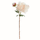 NAPA Home & Garden, PEONY STEM Collection