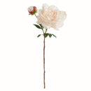 NAPA Home & Garden, PEONY STEM 21"
