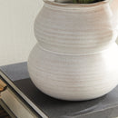 NAPA Home & Garden, CHYRSSA VASE Collection