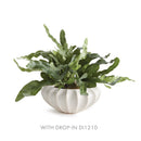 NAPA Home & Garden, BLECKLYN Decorative Bowl Collection