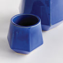 NAPA Home & Garden, APEX POTS Collection