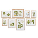 NAPA Home & Garden, FLORA AND FAUNA GALLERY PRINTS, SET OF 8