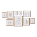 NAPA Home & Garden, BOTANICAL STUDY IN SEPIA, SET OF 9