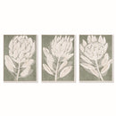 NAPA Home & Garden, PROTEA TRIPTYCH HAND-EMBELLISHED GICLEES, SET OF 3