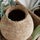 NAPA Home & Garden, REMI WOVEN VASE Collection