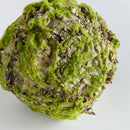 NAPA Home & Garden, MOSSY LICHEN ORB Collection