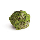NAPA Home & Garden, MOSSY LICHEN ORB Collection