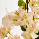 NAPA Home & Garden Bougainvillea Stems Bundle