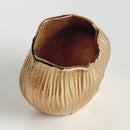 Rosalie and Lillian Vase Collection
