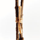 Ginkgo Branch Decor by NAPA Home & Garden