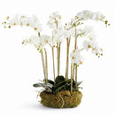 NAPA Home & Garden, PHALAENOPSIS ORCHID BOWL DROP-IN 35"